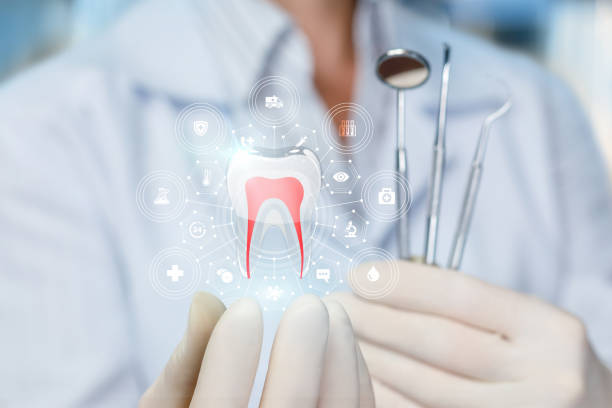 Professional Holistic Dental Care Services in Glassport, PA